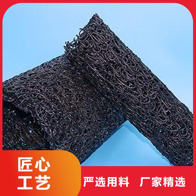 塑料盲沟双向塑料土工格栅快捷的物流配送本地生产厂家