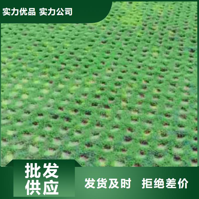 植草格软式透水管大厂家实力看得见当地供应商