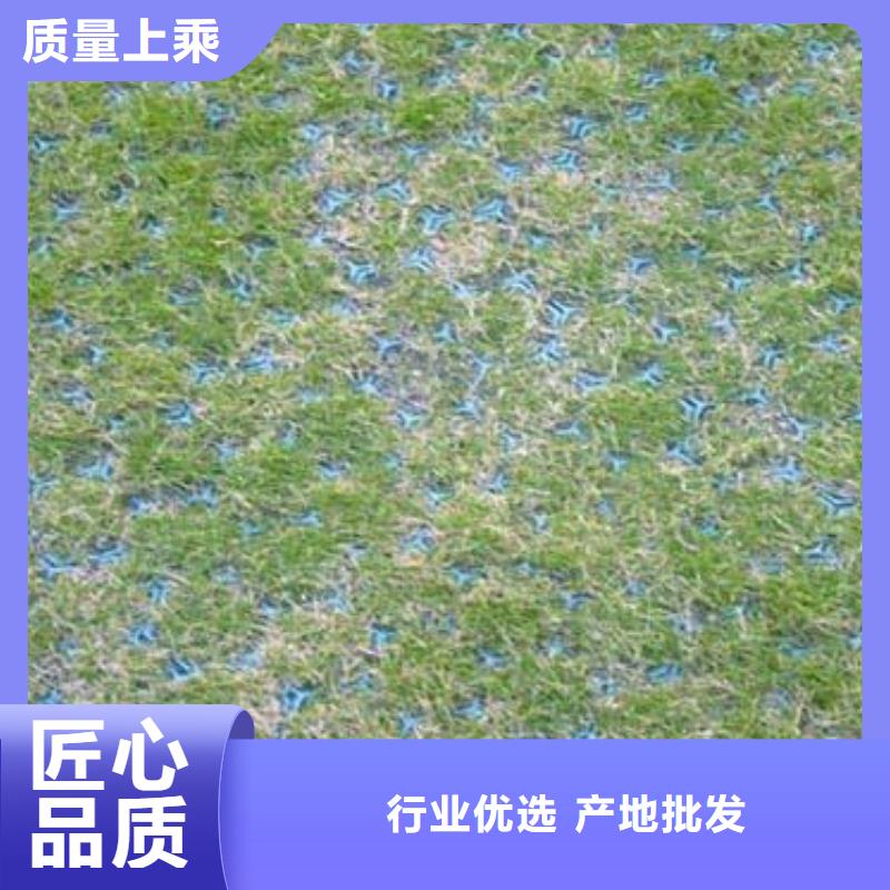 植草格-三维植被网生产加工同城服务商