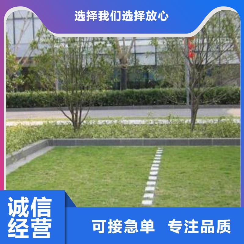 植草格短丝土工布保障产品质量本地制造商