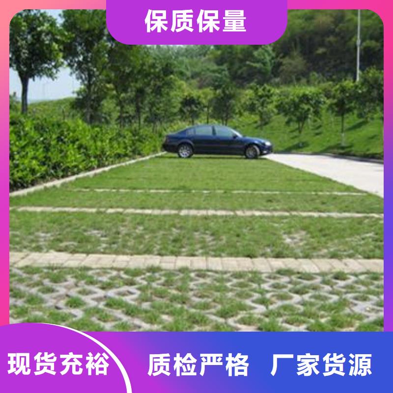 植草格PVC防水卷材同行低价符合行业标准