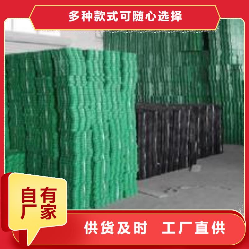 植草格【三维土工网垫】质检严格实力公司