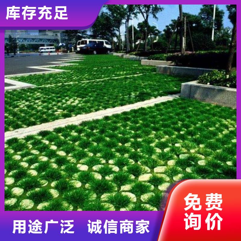 【植草格-三维植被网选择大厂家省事省心】本地生产商