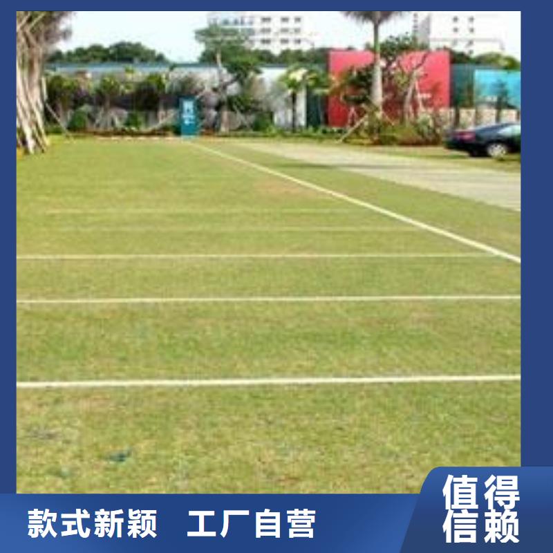 植草格加筋布量大更优惠同城生产商
