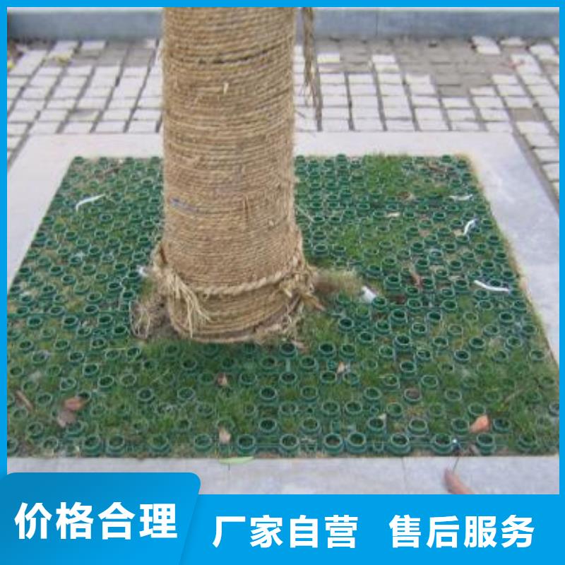 植草格【涤纶土工格栅】质量检测优质货源