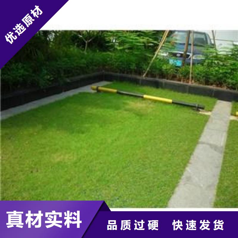 植草格单向塑料土工格栅厂家定制本地公司
