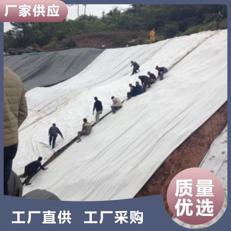 人工湖用膨润土防水毯施工工艺本地供应商