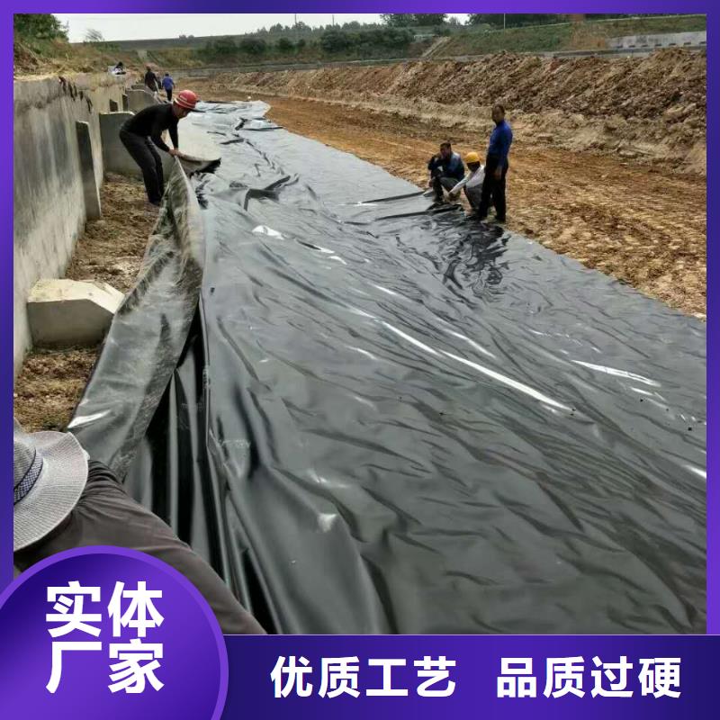 柱点糙面土工膜规格型号齐全/可定制支持定制批发