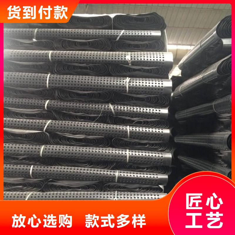 塑料排水板工程布现货充裕同城生产厂家