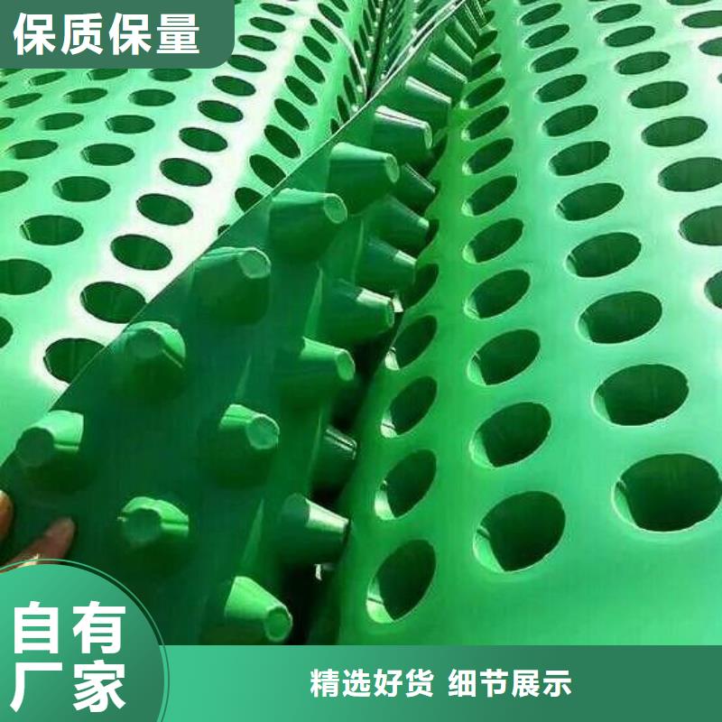 塑料排水板防渗膜现货充足量大优惠本地服务商