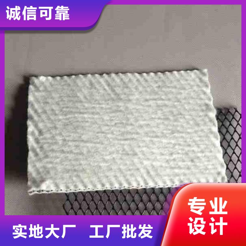 【三维复合排水网-工程布实力见证】好货有保障