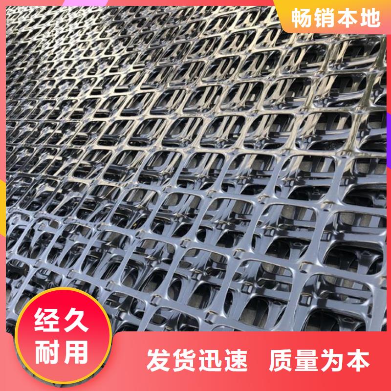 塑料土工格栅-土工布厂家规格全全新升级品质保障