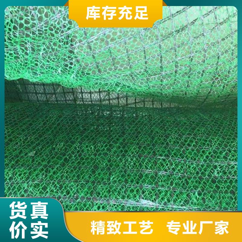 三维植被网-【pp焊接土工格栅】用心做好每一件产品当地服务商