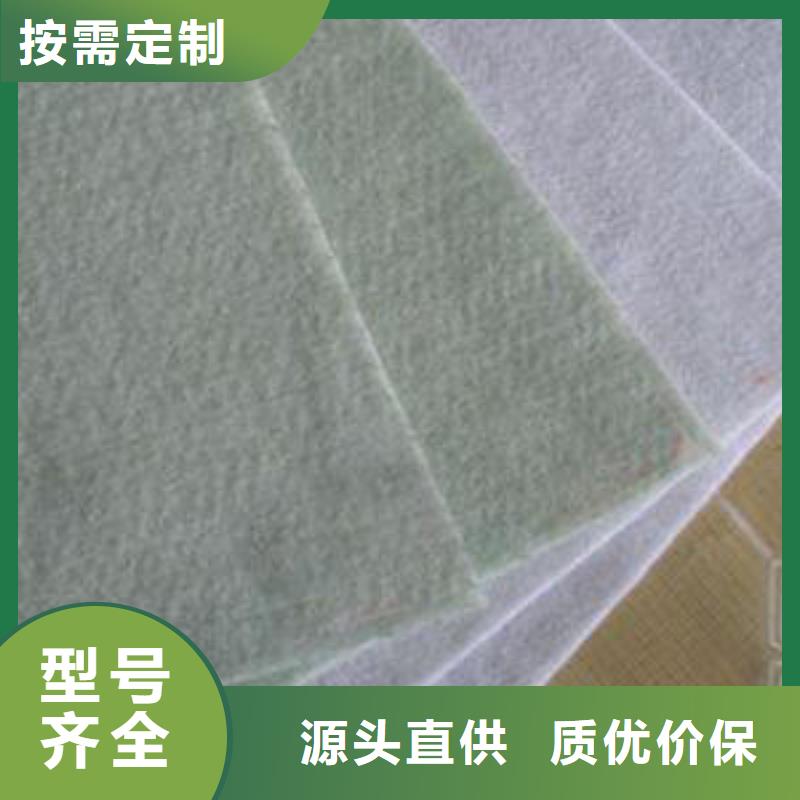 土工布-玻纤土工格栅多年行业经验用的放心