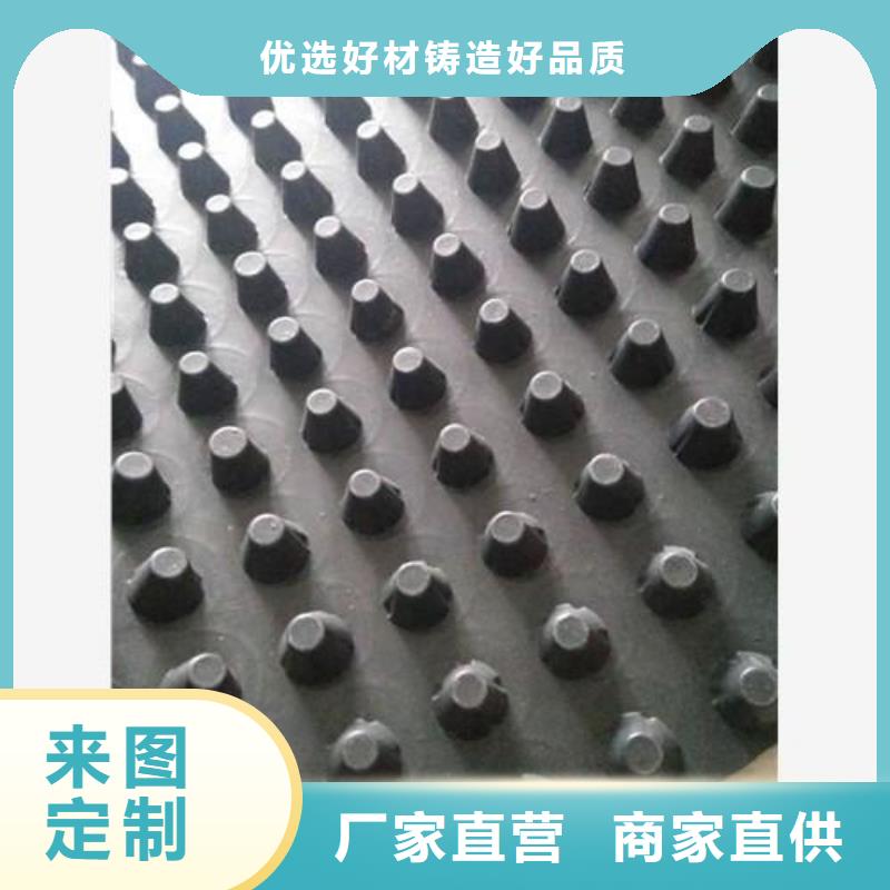蓄排水板钢塑土工格栅好产品放心购本地生产商