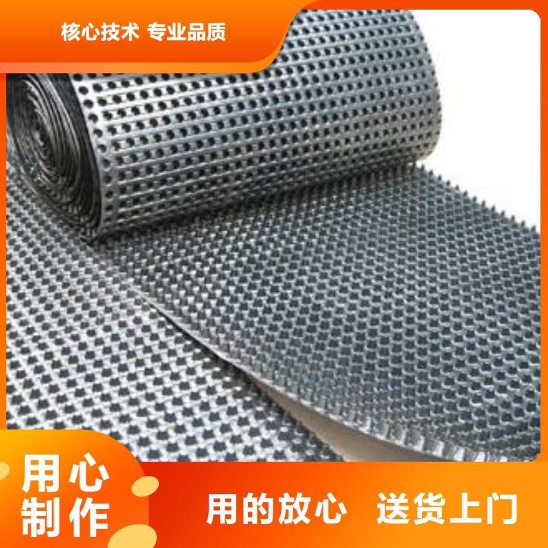 蓄排水板凸结点钢塑土工格栅多年经验值得信赖保障产品质量