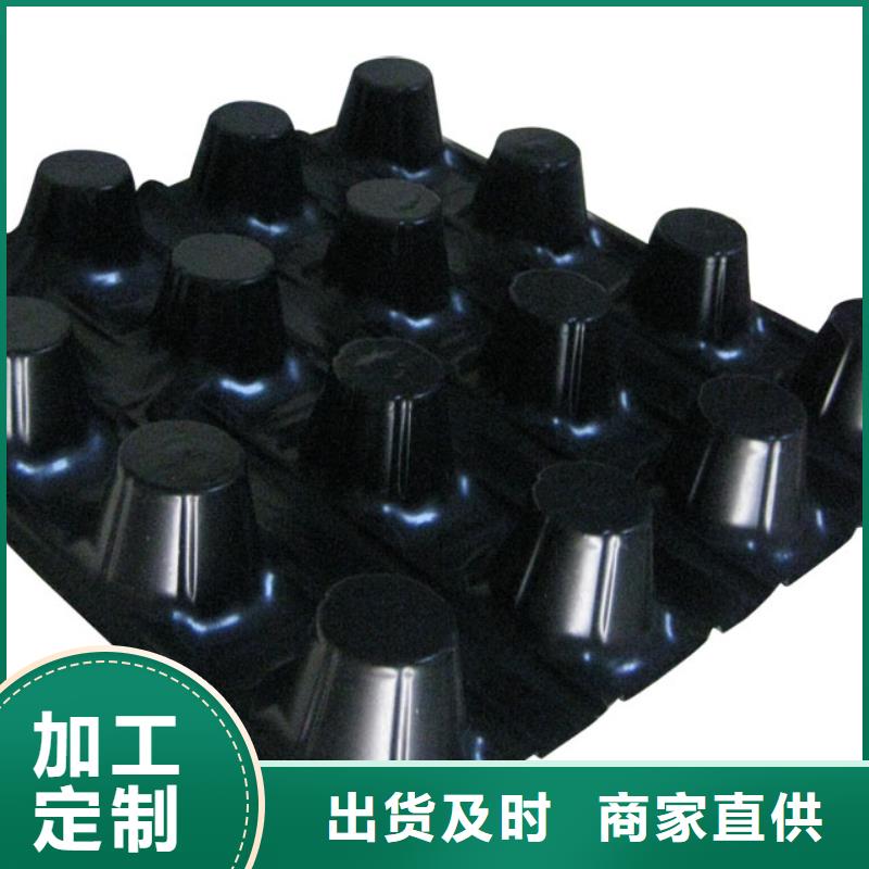 蓄排水板,土工格栅高质量高信誉实力见证