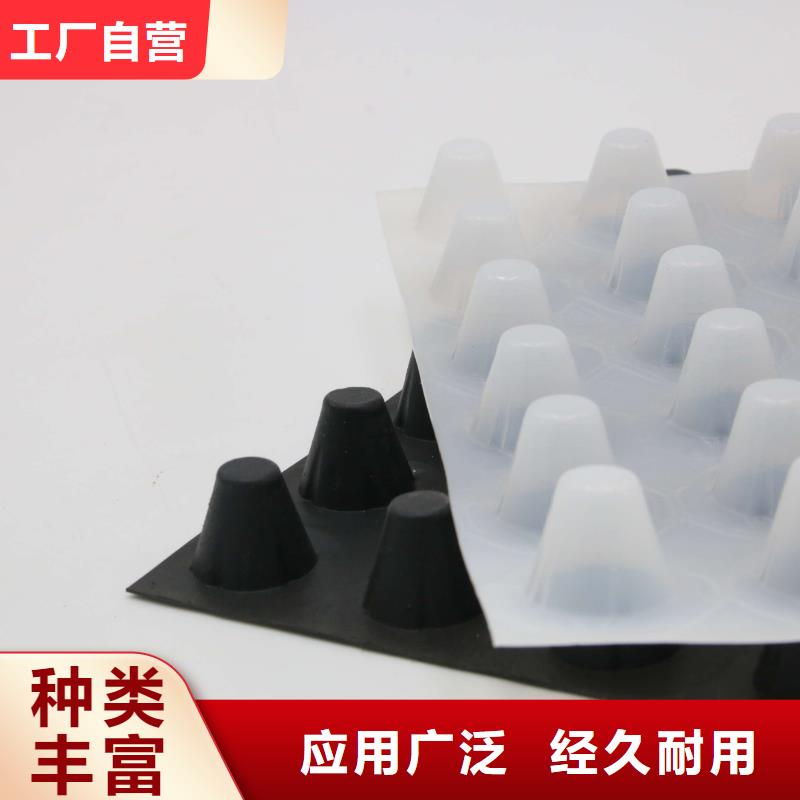 【蓄排水板】三维复合排水网品质有保障库存丰富