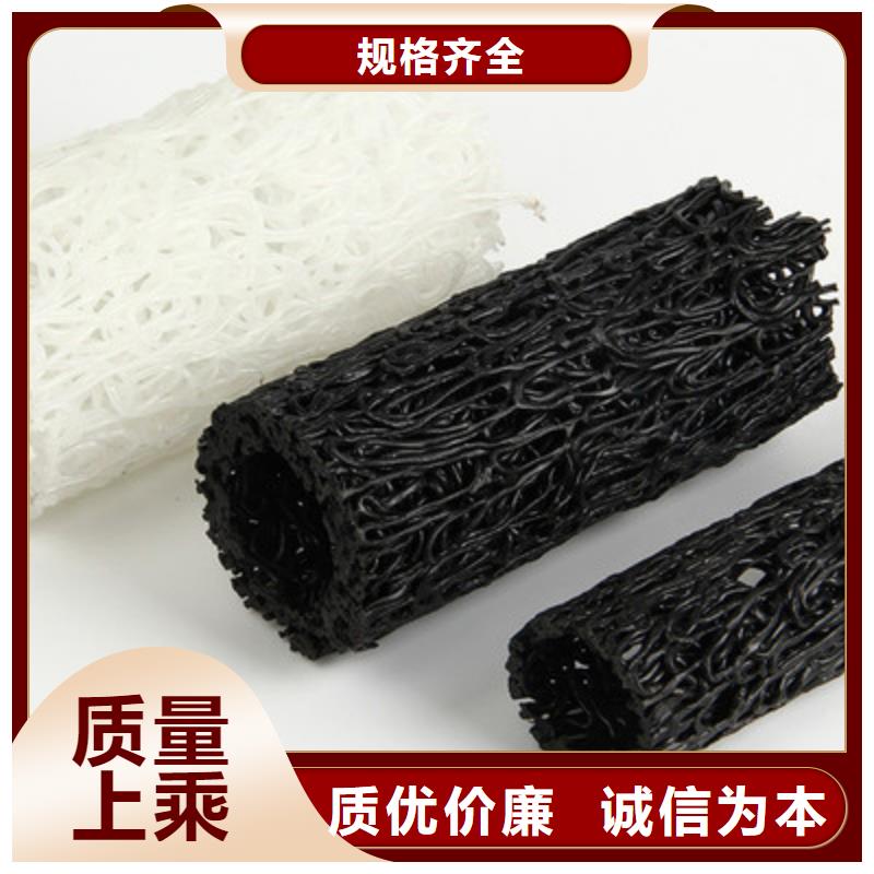 塑料盲沟,钢塑土工格栅快速物流发货当地经销商