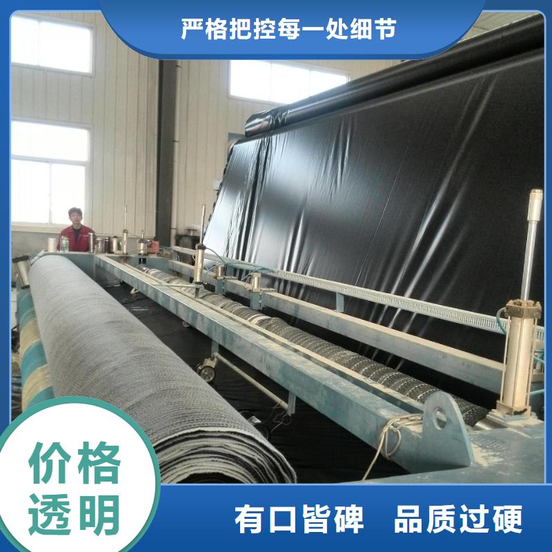 膨润土防水毯【复合土工膜】从厂家买售后有保障精心选材