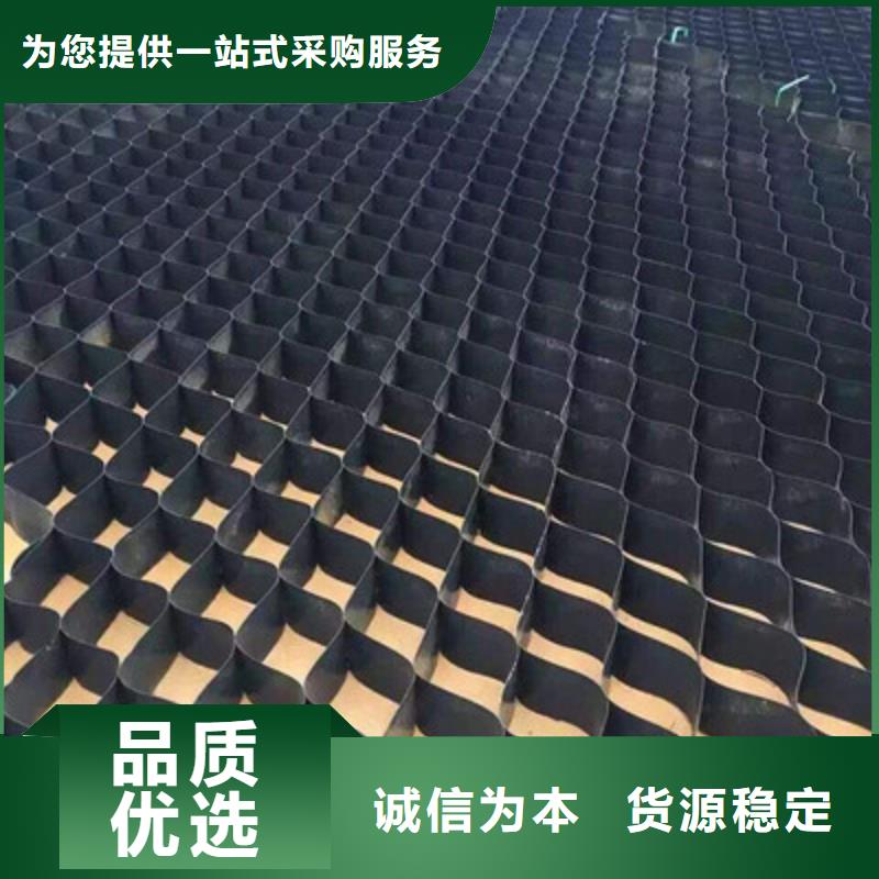 土工格室玻纤格栅N年大品牌敢与同行比价格