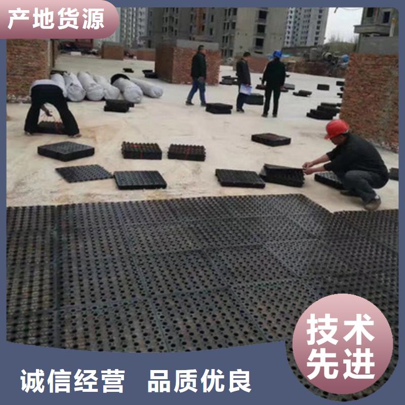 塑料排水板复合土工膜供应商当地生产厂家