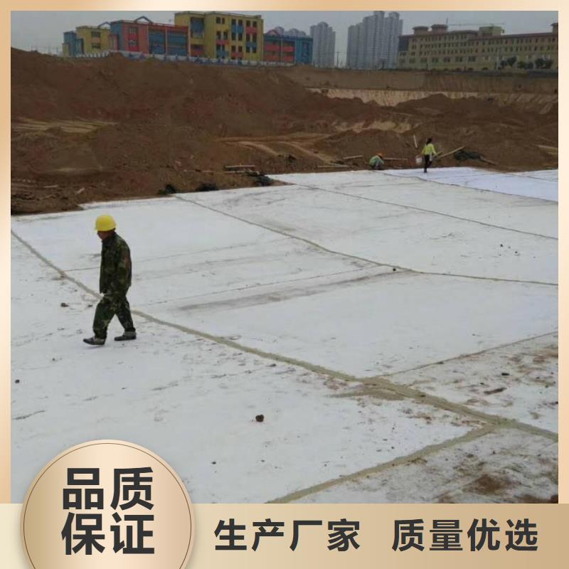 防水毯凸结点钢塑土工格栅厂家直销值得选择打造行业品质