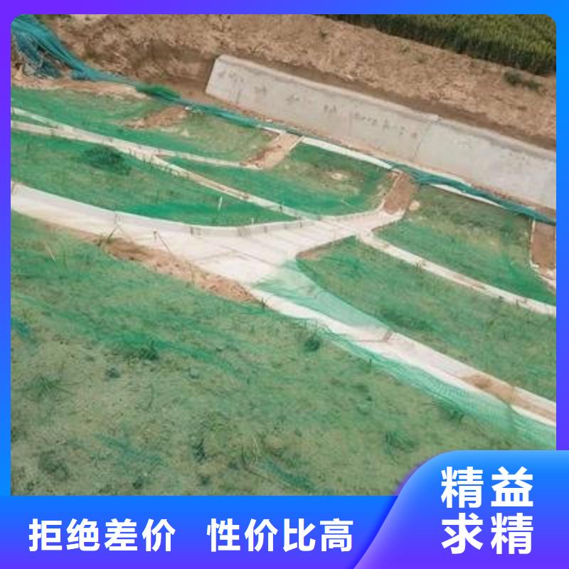 三维植被网双向塑料土工格栅一站式服务匠心制造