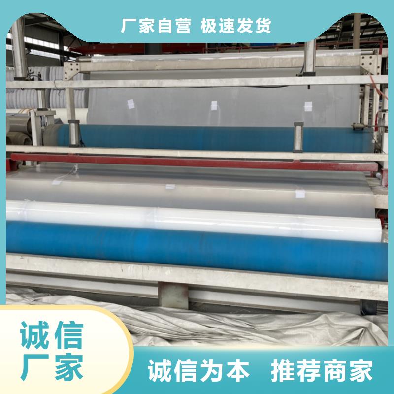 EVA防水板聚丙烯双拉土工格栅满足客户所需当地经销商