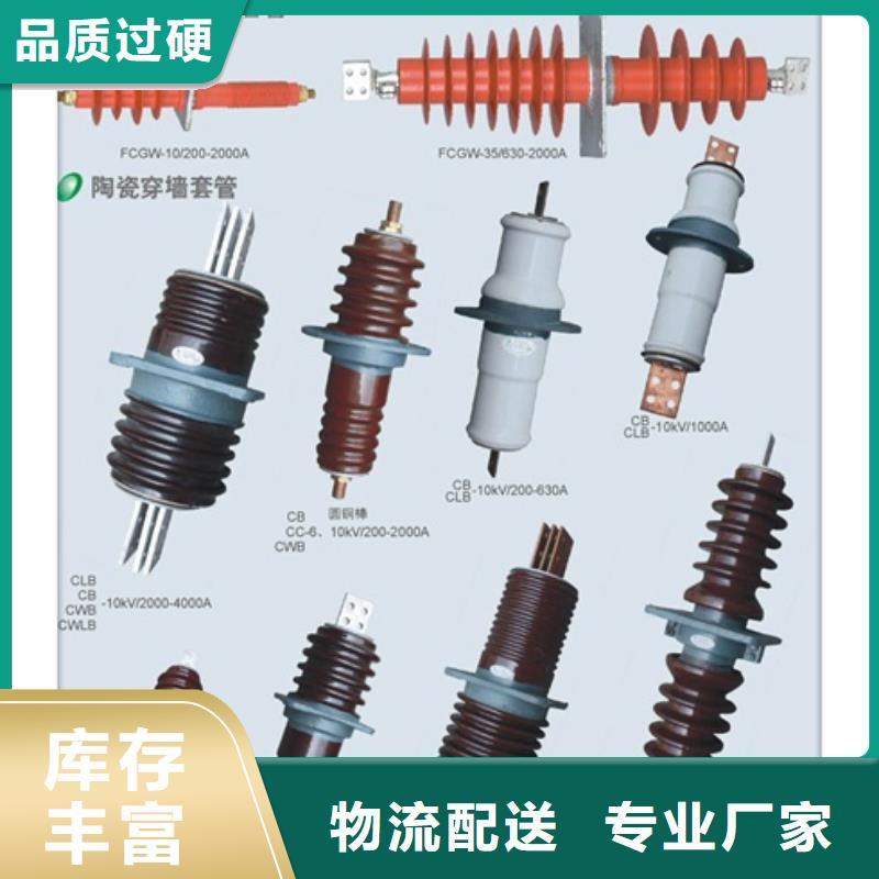 CWW-20/400高压陶瓷穿墙套管匠心打造