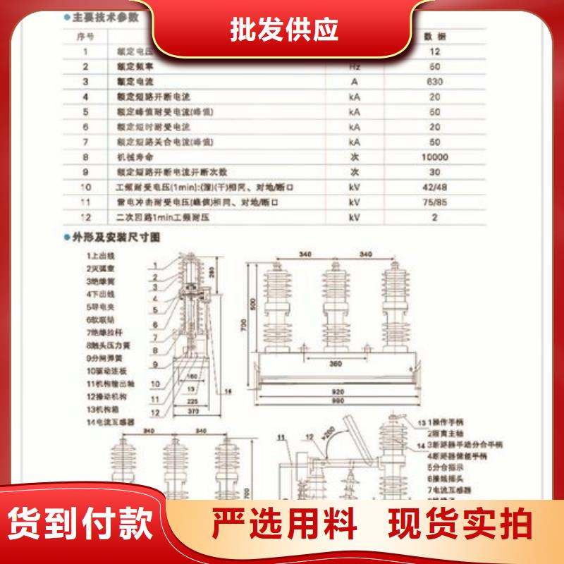 ZW43-12G/T630-12.5户外高压真空断路器质量怎么样附近生产厂家