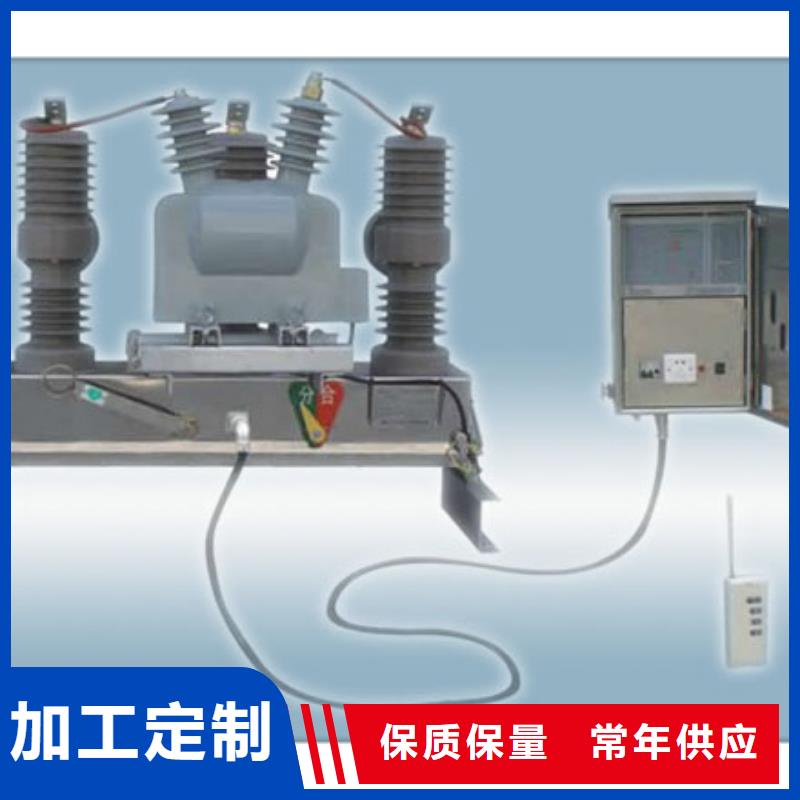 真空断路器多年行业积累品质保障售后无忧