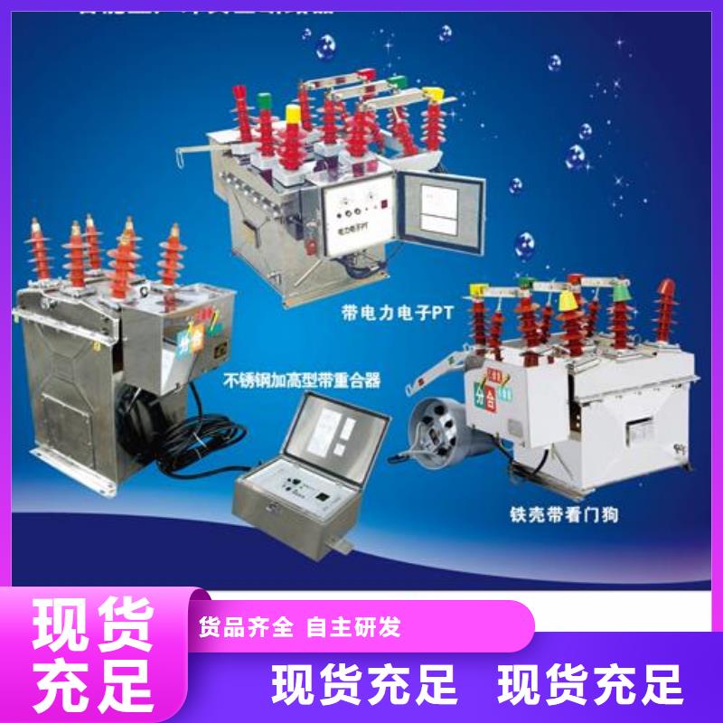 LW3-10/630-12.5六氟化硫断路器当地公司