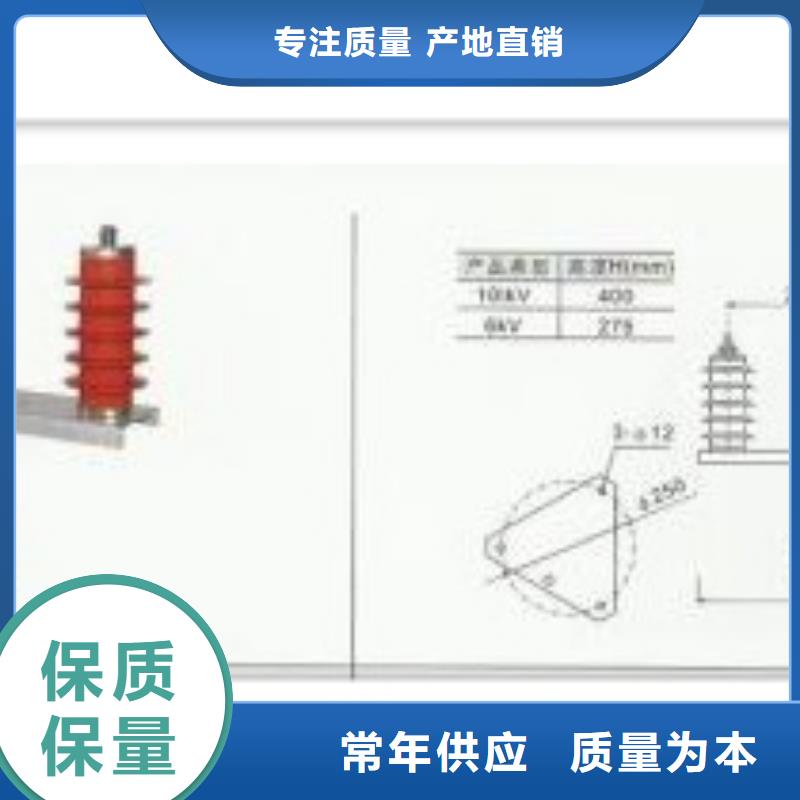 TBP-C-42/310F串联间隙过电压保护器保质期优质工艺