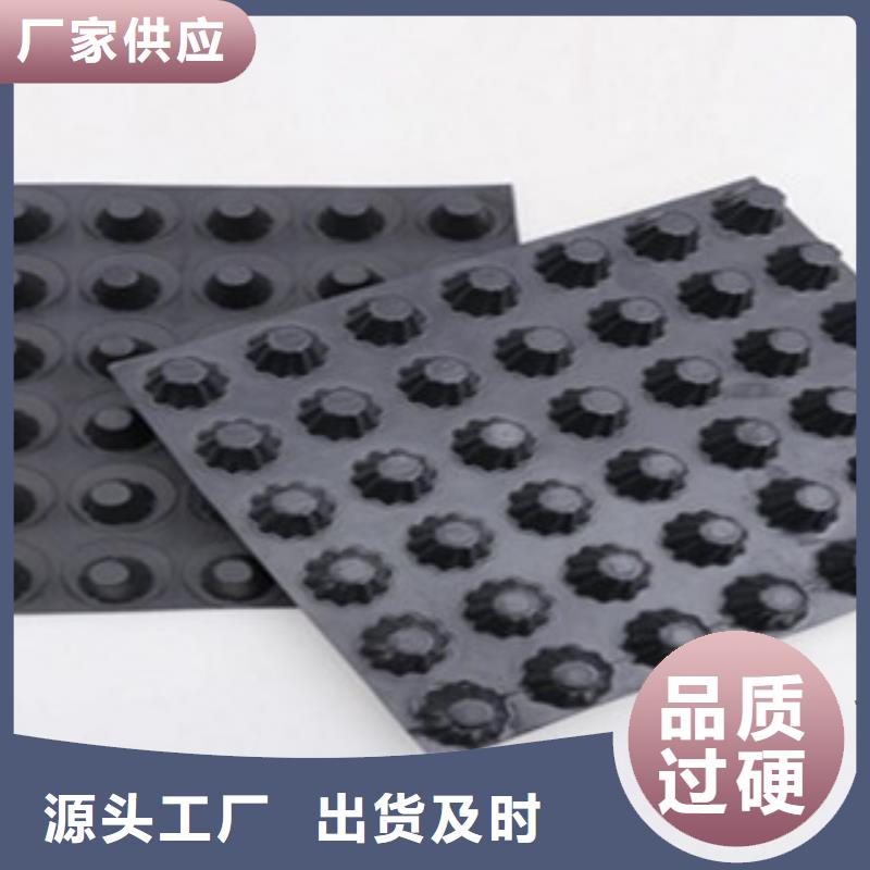塑料排水板-塑料土工格栅工艺精细质保长久当地货源