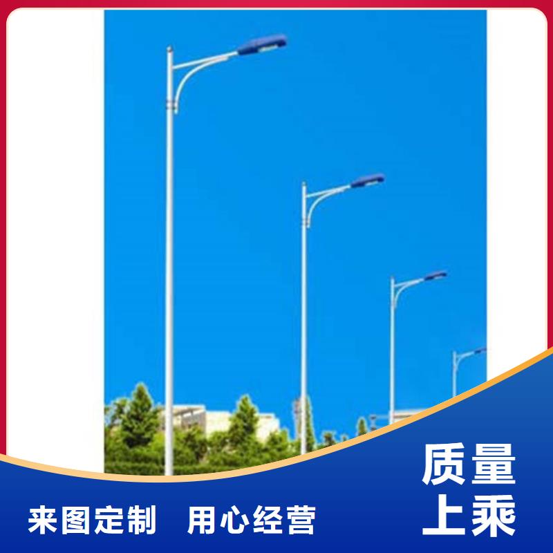 路灯户外照明灯具园林景观灯具路灯厂直销价质优价廉