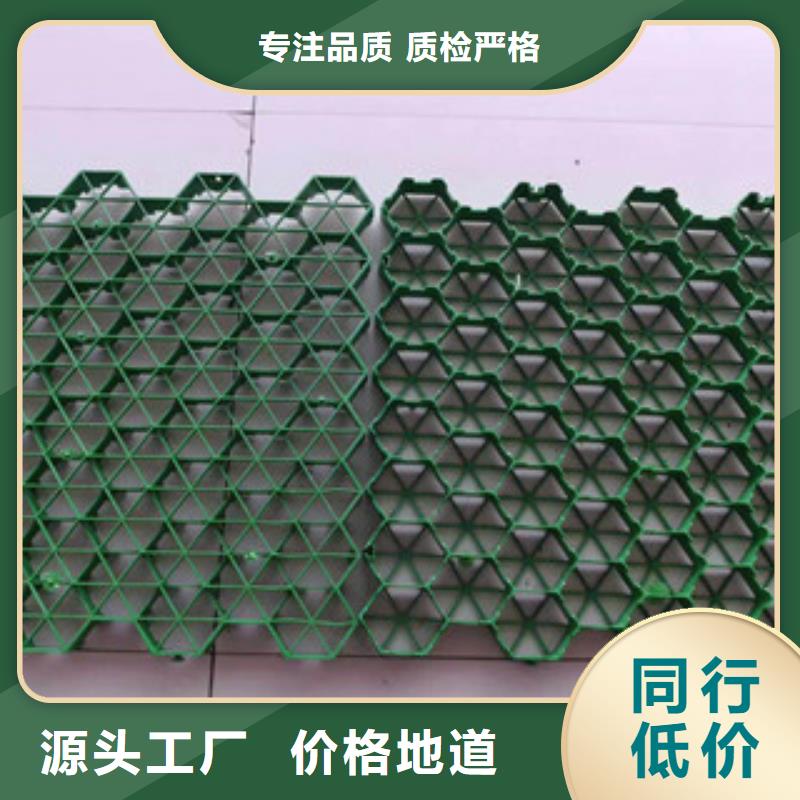 环保植草格_蓄排水板厂家销售的是诚信本地供应商