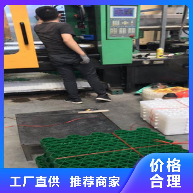 【环保植草格】土工布厂家量大更优惠诚信经营现货现发