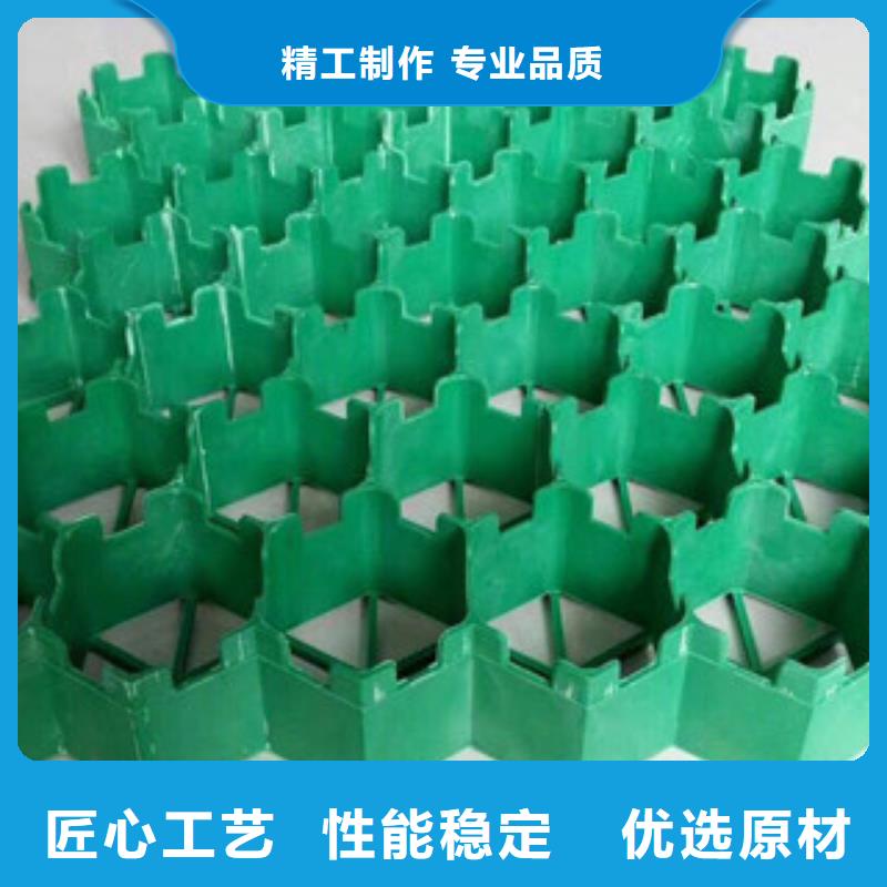 【环保植草格】土工膜厂家专业生产厂家当地经销商