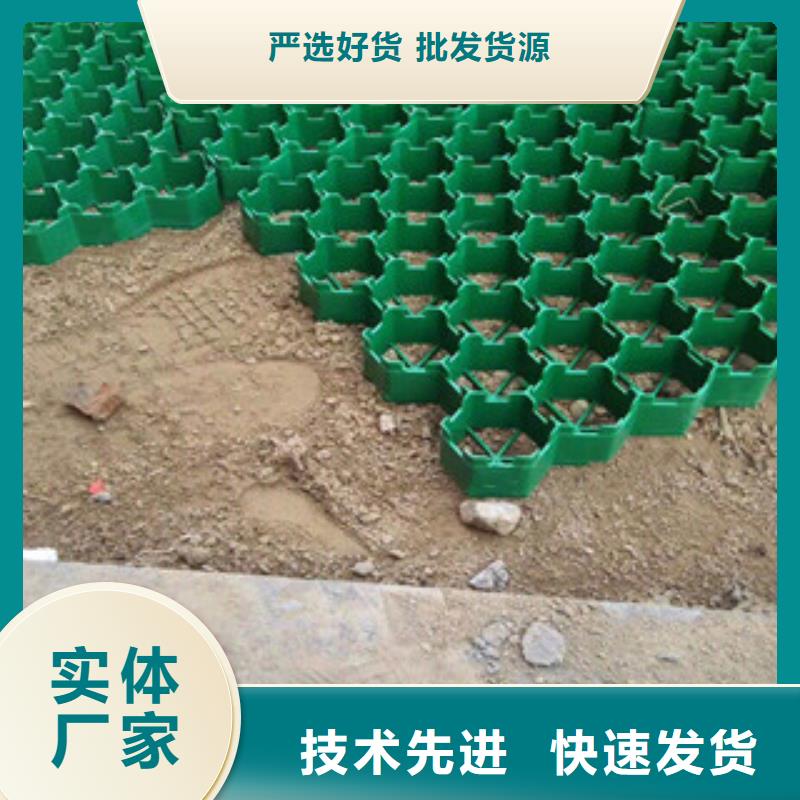 环保植草格,土工膜厂家工厂自营专业完善售后
