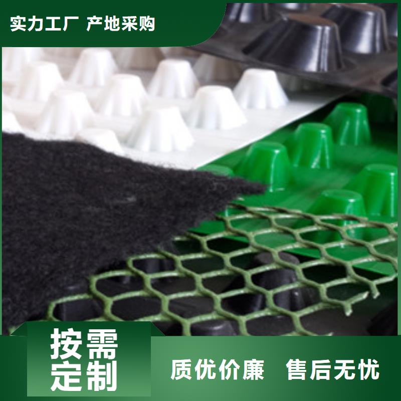 塑料排水板【土工膜厂家】实体厂家大量现货本地供应商