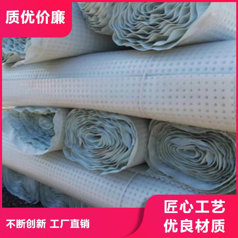 塑料排水板膨润土防水毯厂家技术先进专业生产团队