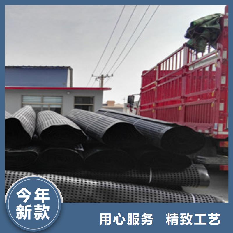 塑料排水板蓄排水板厂家多年行业经验常年供应