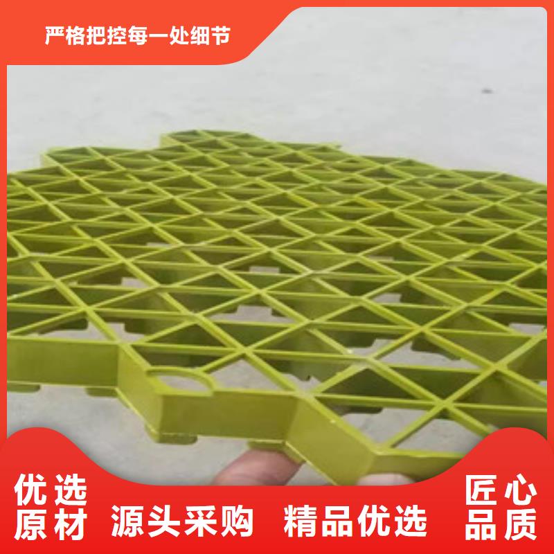 植草格土工布厂家多行业适用有实力有经验