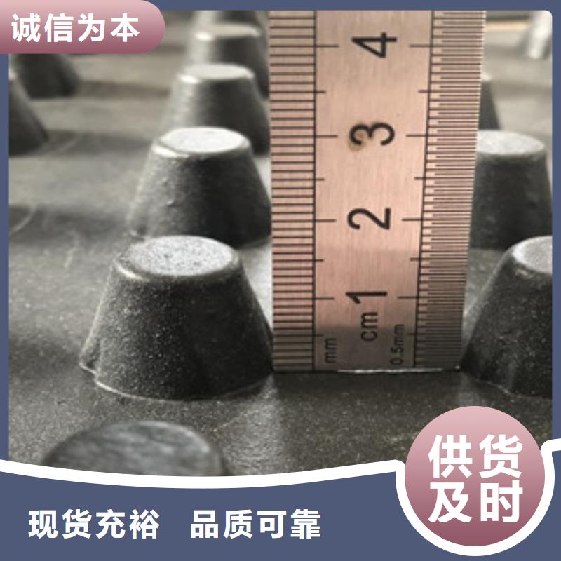 【排水板】植草格厂家品质保障价格合理价格公道合理