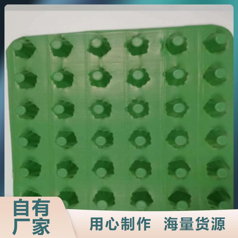 【排水板蓄排水板厂家现货直供】产品细节参数
