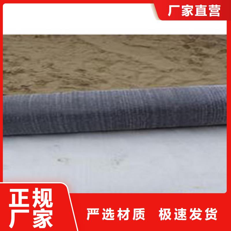 防水毯【排水板厂家】欢迎新老客户垂询现货充足
