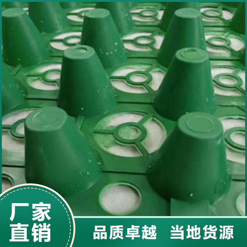 蓄排水板,膨润土防水毯厂家可定制直销厂家