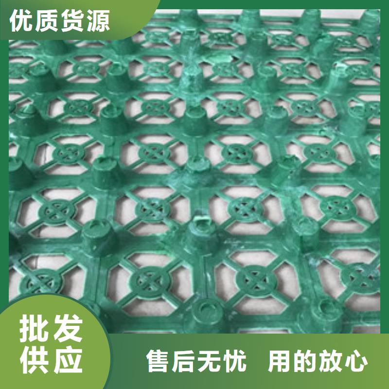 蓄排水板土工膜厂家按需定制真材实料工厂现货供应