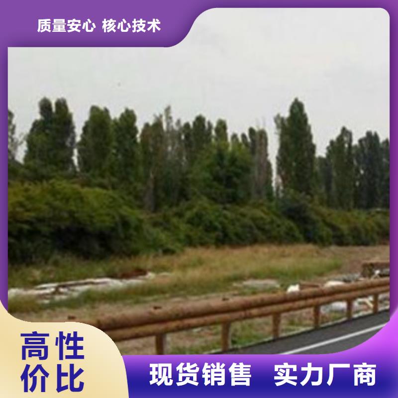 生防撞护栏厂家不锈钢桥梁护栏厂家报价当地制造商